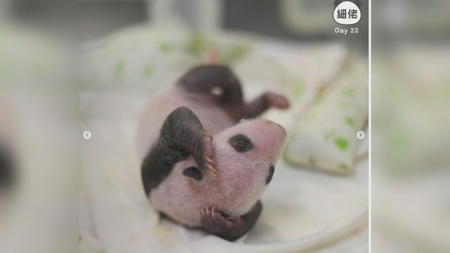 無綫新聞 TVB News