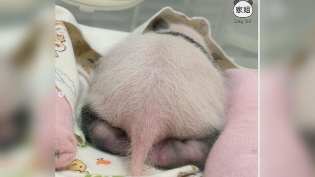 無綫新聞 TVB News