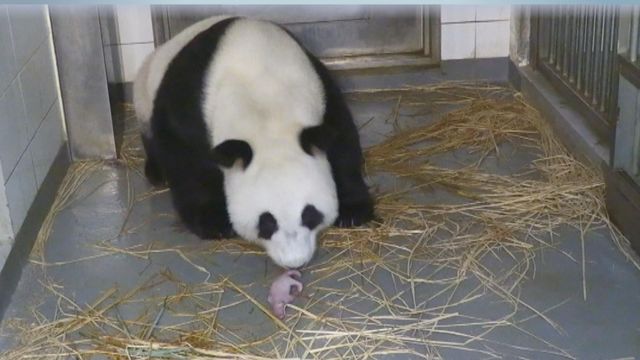 無綫新聞 TVB News