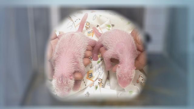 無綫新聞 TVB News
