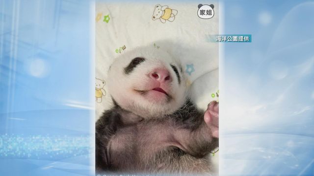 無綫新聞 TVB News