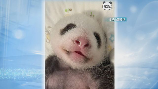 無綫新聞 TVB News