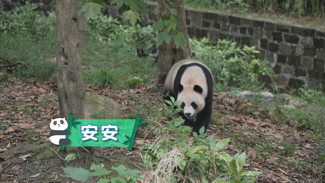 無綫新聞 TVB News