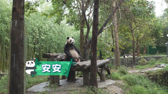 無綫新聞 TVB News