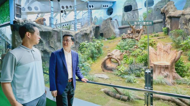 無綫新聞 TVB News