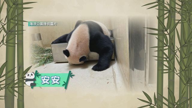 無綫新聞 TVB News