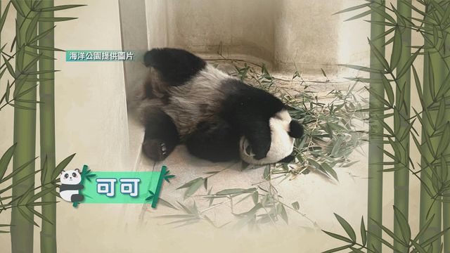 無綫新聞 TVB News