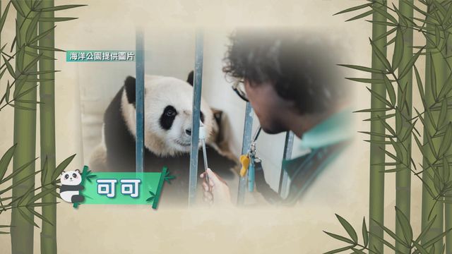 無綫新聞 TVB News