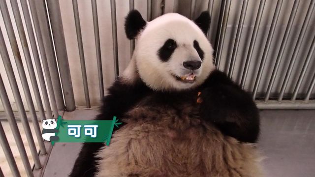 無綫新聞 TVB News