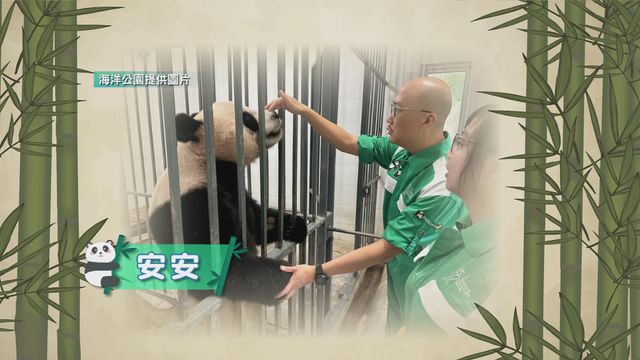 無綫新聞 TVB News