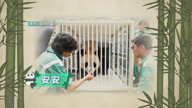 無綫新聞 TVB News