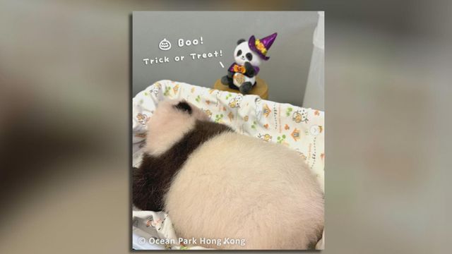 無綫新聞 TVB News