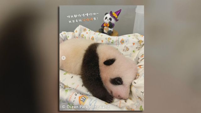 無綫新聞 TVB News