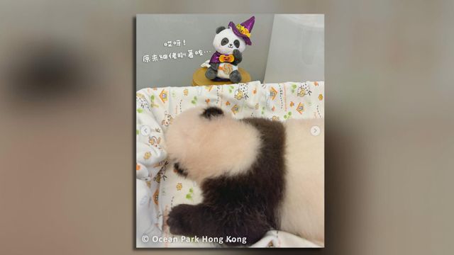 無綫新聞 TVB News