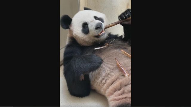 無綫新聞 TVB News