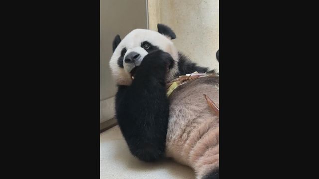 無綫新聞 TVB News