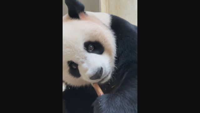 無綫新聞 TVB News