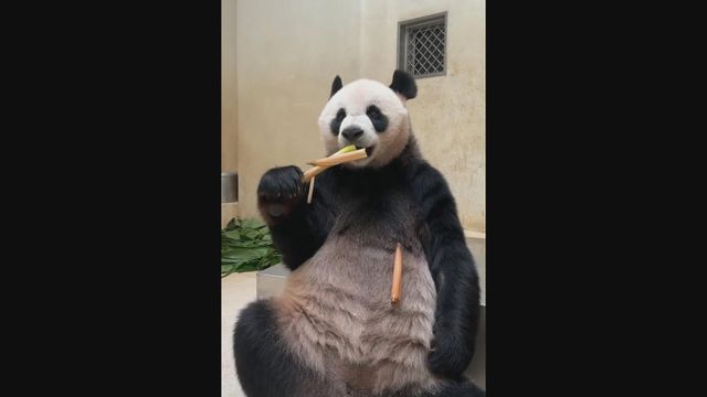 無綫新聞 TVB News