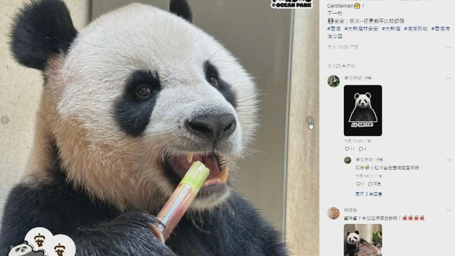 無綫新聞 TVB News