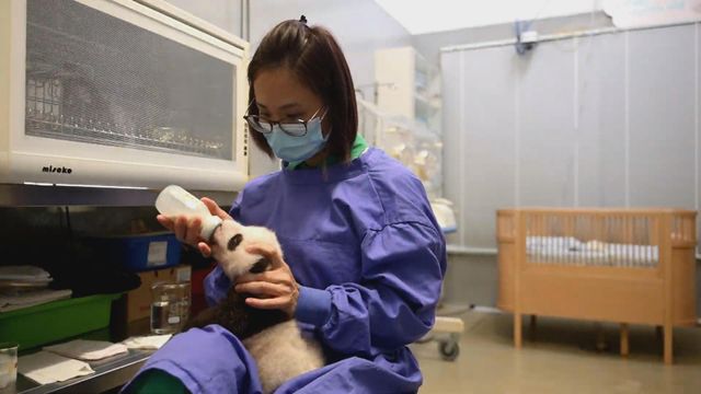 無綫新聞 TVB News