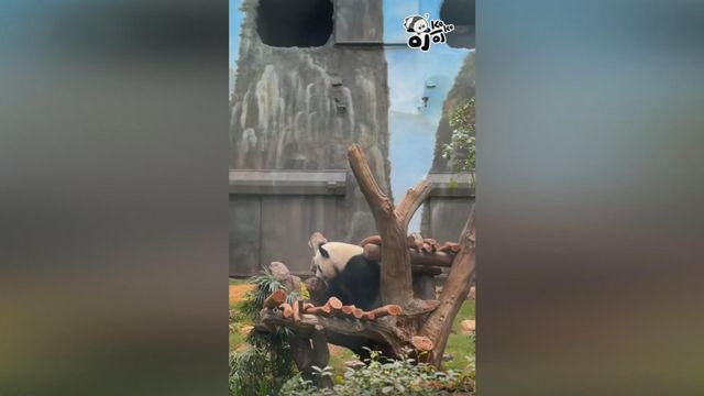 無綫新聞 TVB News