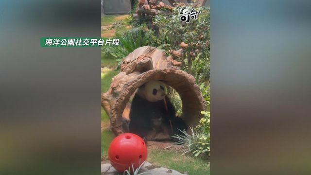 無綫新聞 TVB News