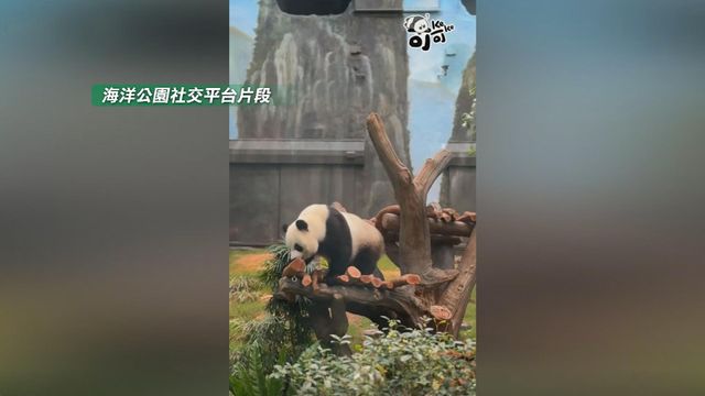 無綫新聞 TVB News