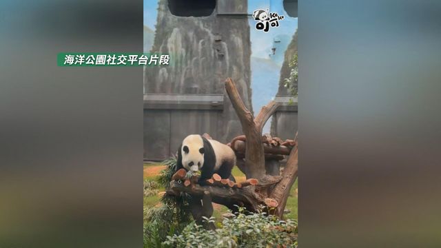 無綫新聞 TVB News