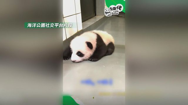 無綫新聞 TVB News