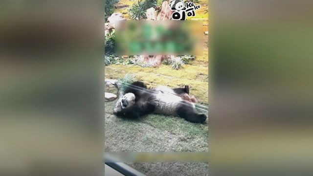 無綫新聞 TVB News