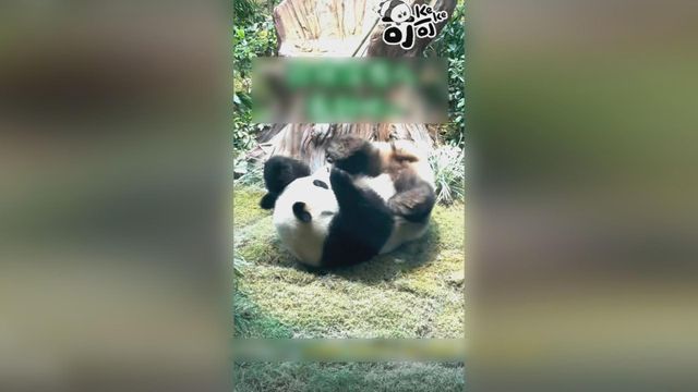無綫新聞 TVB News