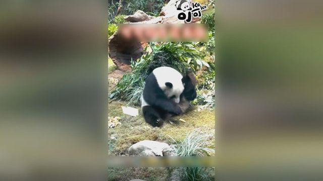 無綫新聞 TVB News