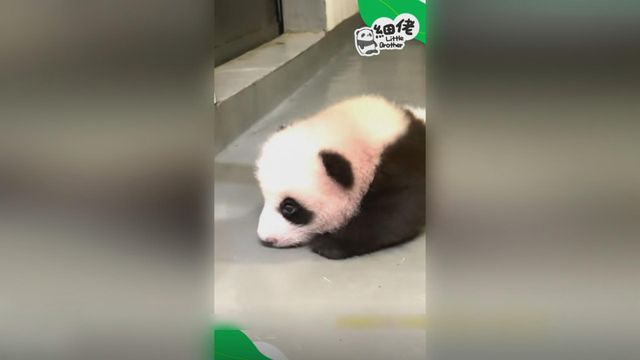 無綫新聞 TVB News
