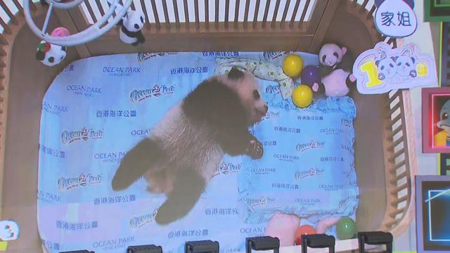 無綫新聞 TVB News