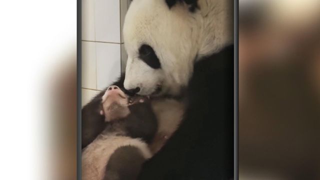 無綫新聞 TVB News