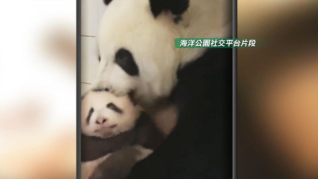 無綫新聞 TVB News