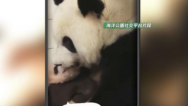 無綫新聞 TVB News