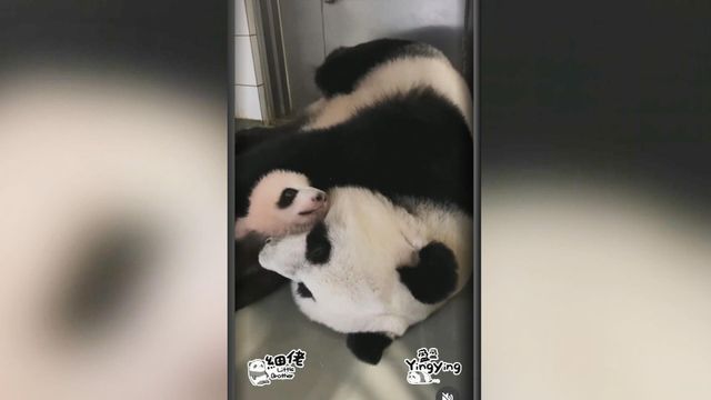 無綫新聞 TVB News