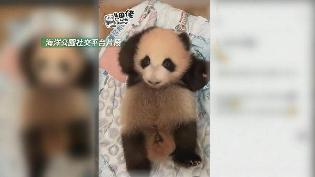 無綫新聞 TVB News