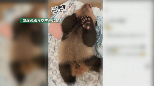 無綫新聞 TVB News