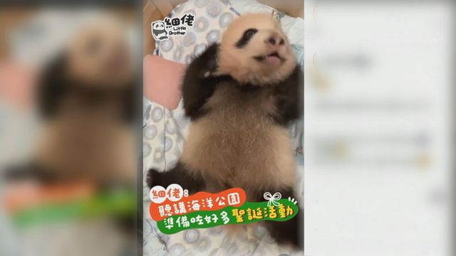 無綫新聞 TVB News