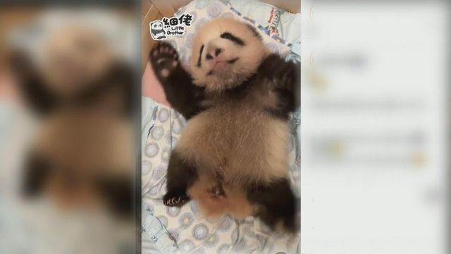 無綫新聞 TVB News