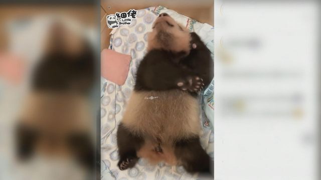 無綫新聞 TVB News