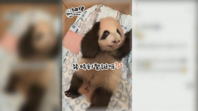 無綫新聞 TVB News