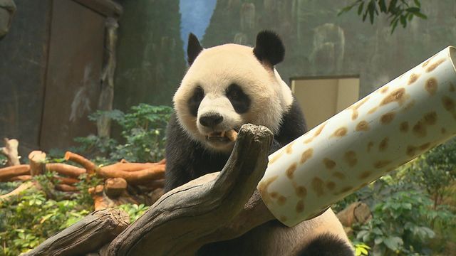 無綫新聞 TVB News