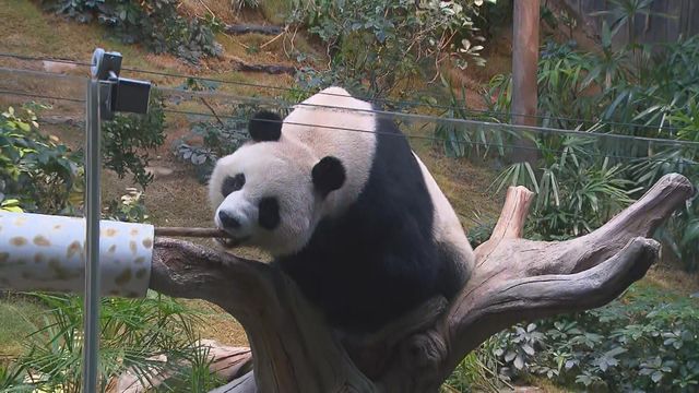 無綫新聞 TVB News 無綫新聞 TVB News