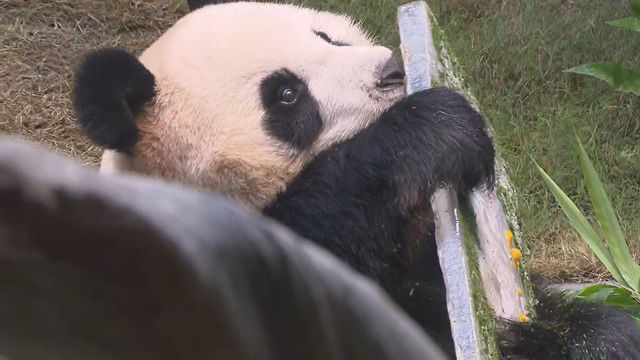 無綫新聞 TVB News 無綫新聞 TVB News