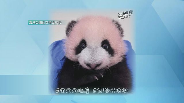 無綫新聞 TVB News