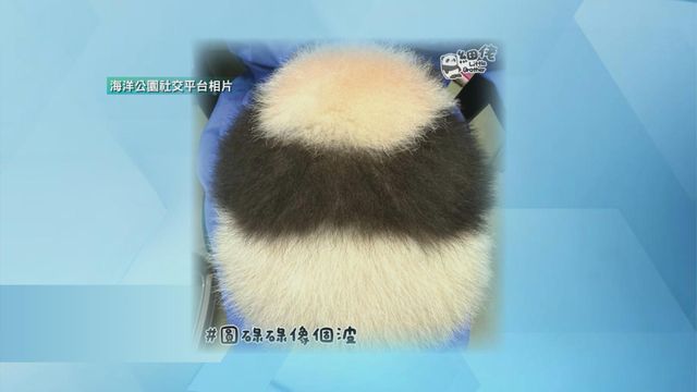 無綫新聞 TVB News
