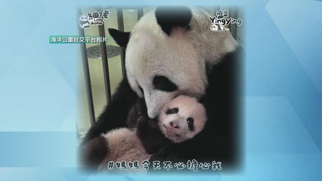 無綫新聞 TVB News